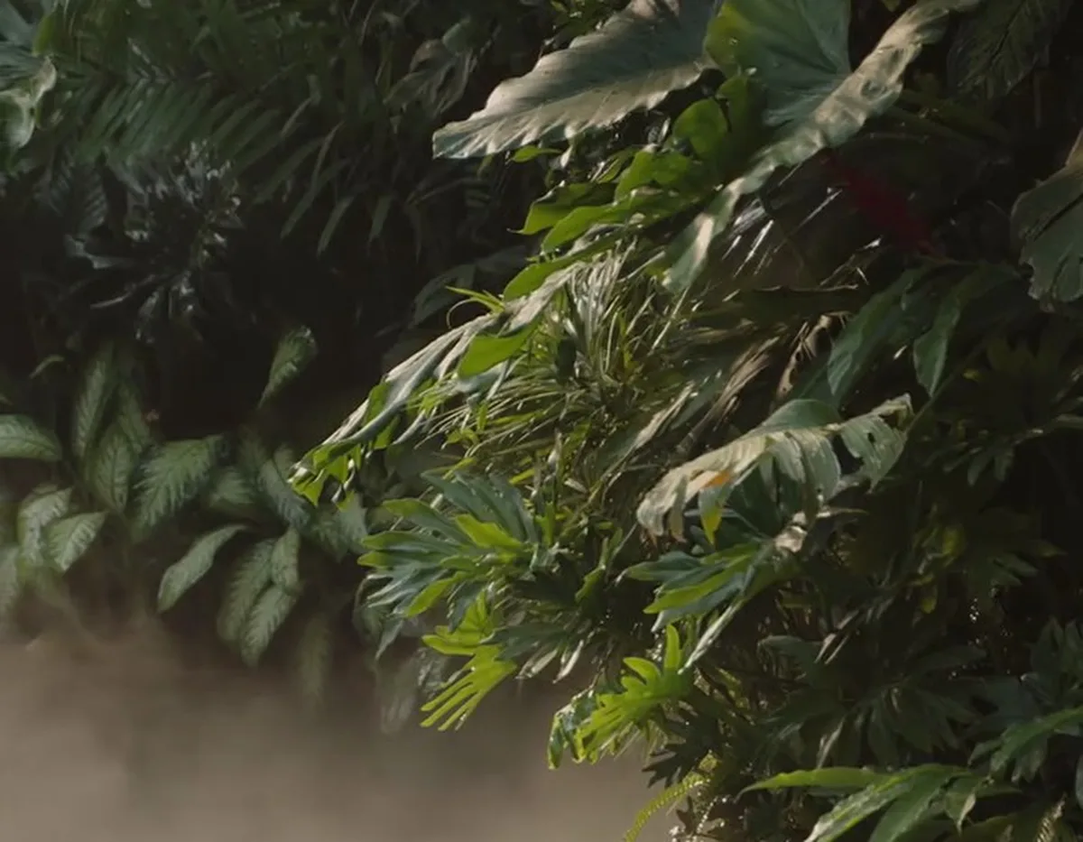 Fine water mist among tropical plants