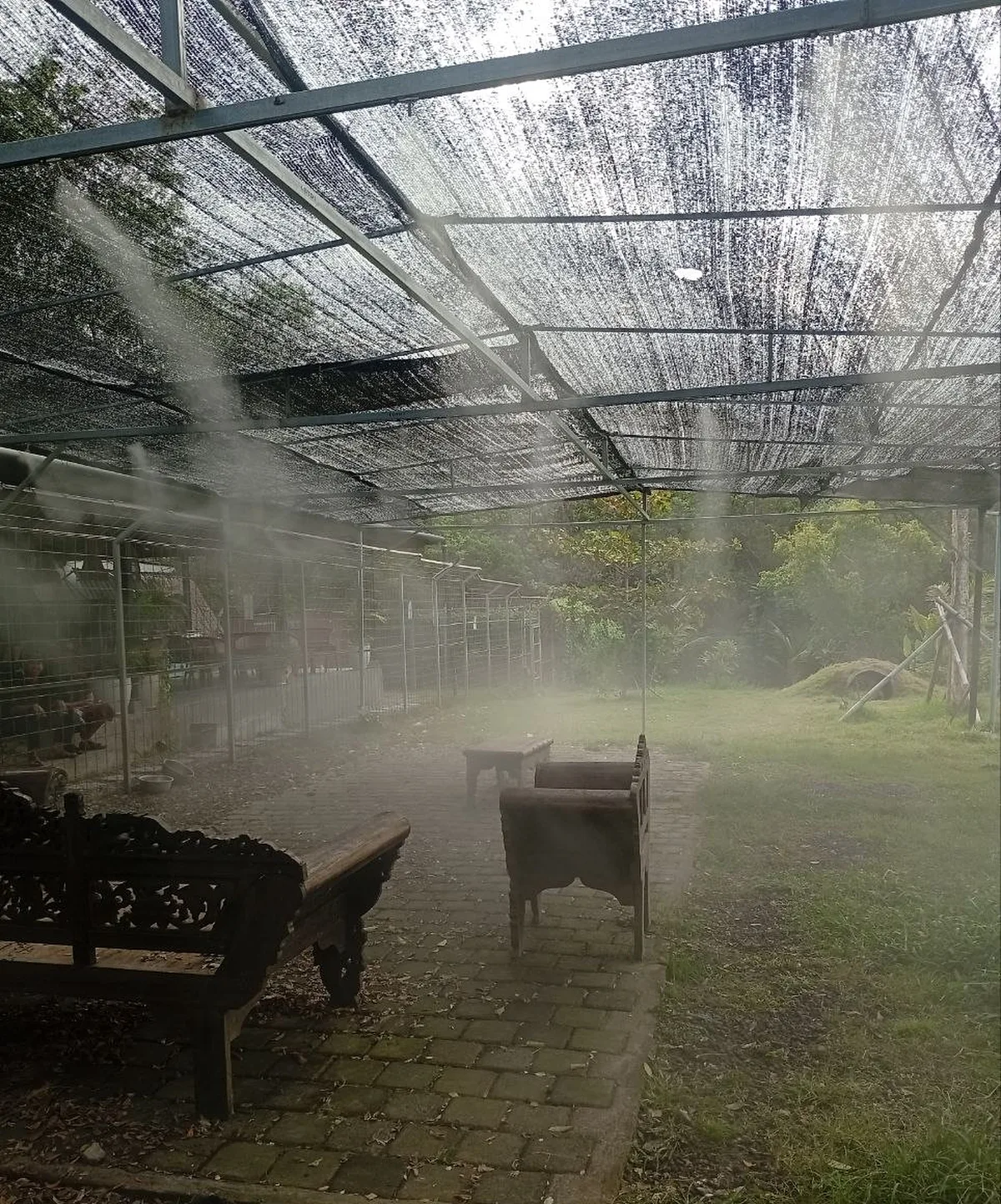 Fine mist over the facility's bench and seating area, kennels in the background