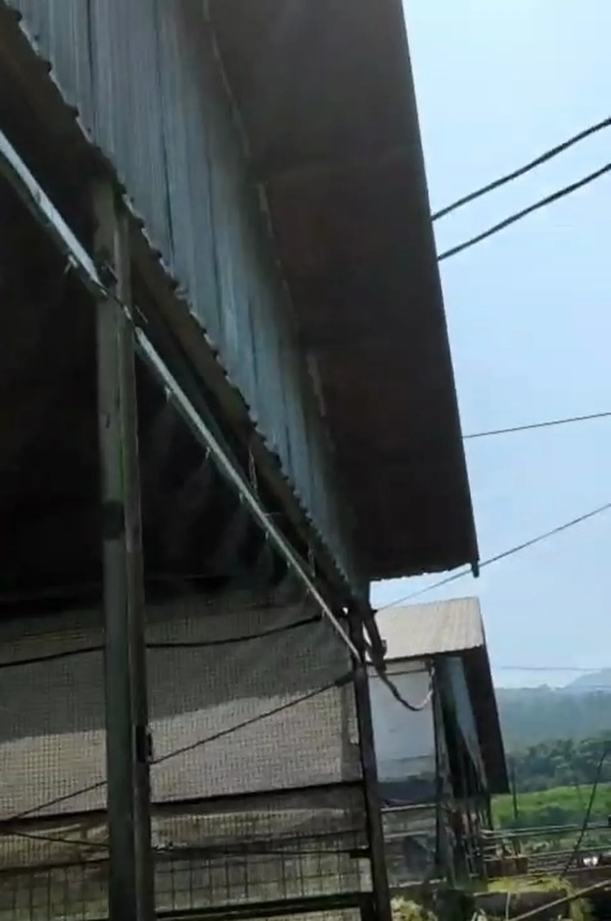 The open-sided barns from outside, on the Malang highland slopes