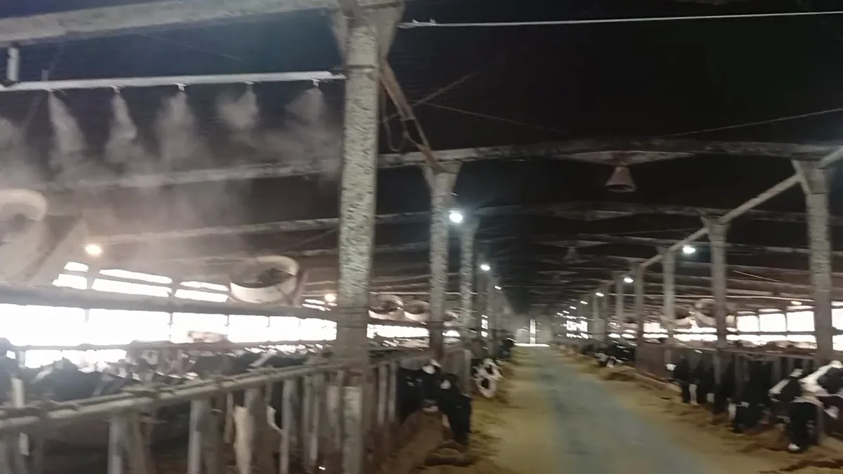 Mist cones working along a dairy barn roof at the Greenfields installation